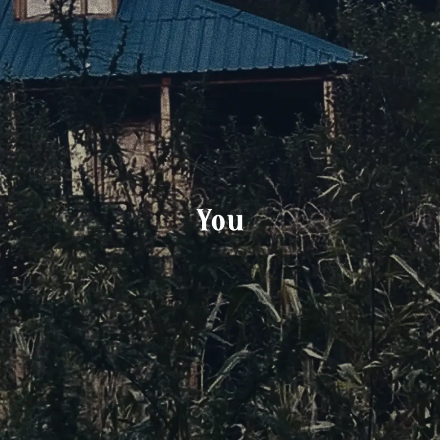 1 1